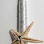 Starfish Pen